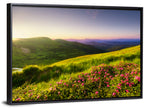Alpine Meadow Sunrise Wall Art