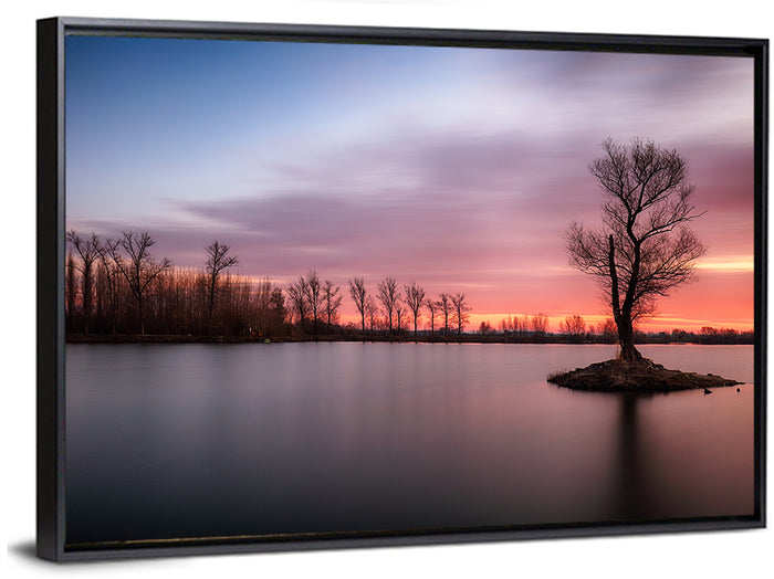 Solitary Island Tree at Sunset Wall Art as a framed canvas