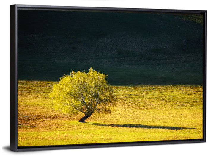 Lone Tree in Golden Meadow Wall Art as a framed canvas