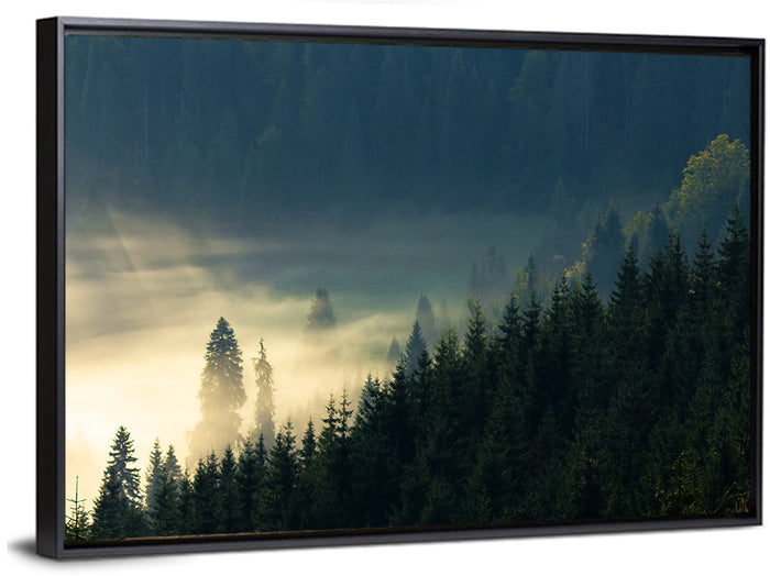 Conifer Valley Morning Mist Wall Art as a framed canvas