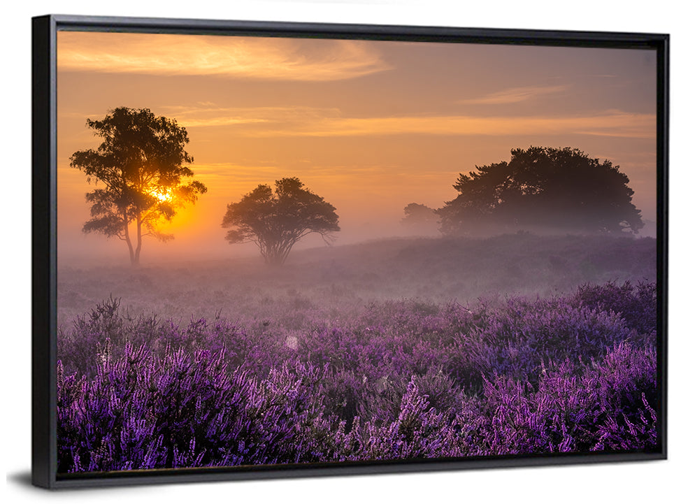 Misty Heather Field at Dawn Wall Art