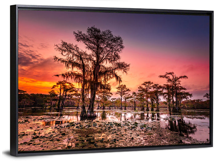 Caddo Lake Cypress Sunset Wall Art as a framed canvas