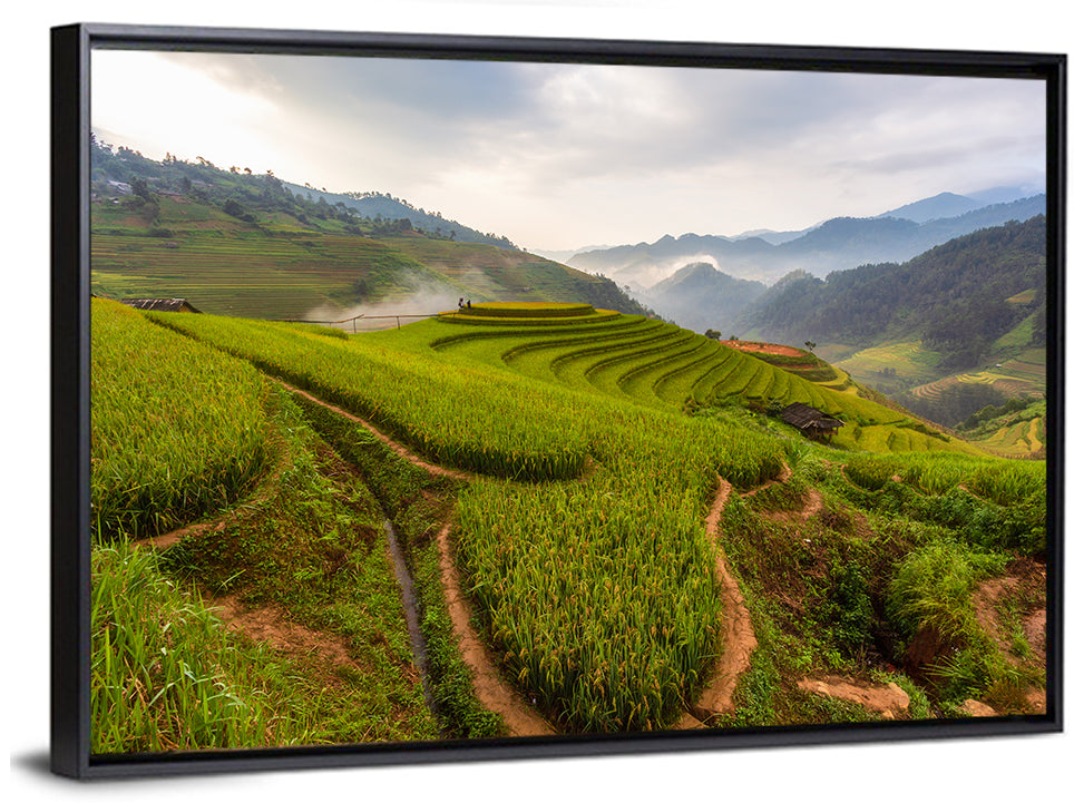 Terraced Rice Paddies Wall Art