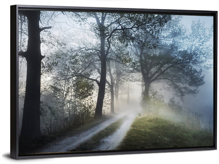 Foggy Forest Path Wall Art as a framed canvas
