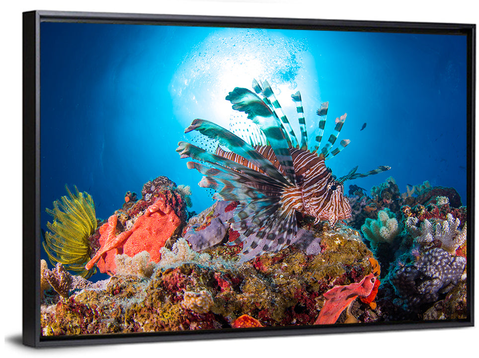 Lionfish in Coral Reef Wall Art