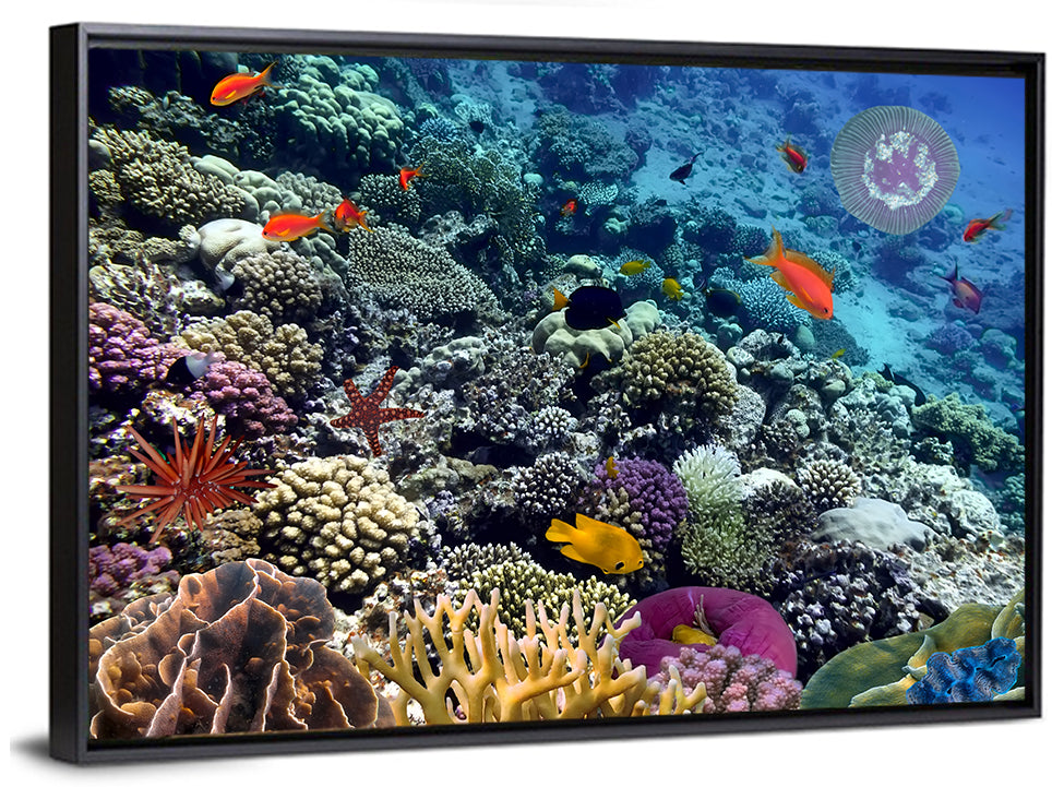 Vibrant Coral Reef Scene Wall Art