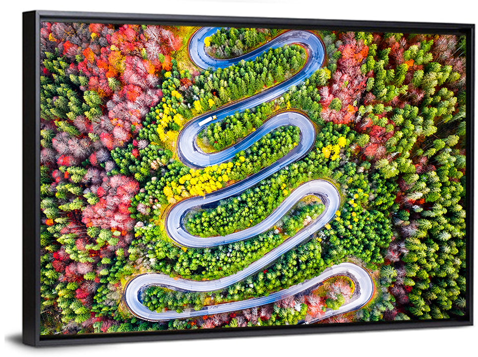 Cheia Autumn Winding Road Wall Art