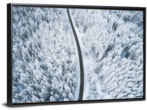 Winter Forest Road Aerial Wall Art