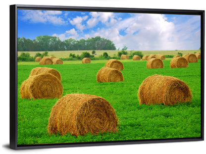 Hay Bales Wall Art