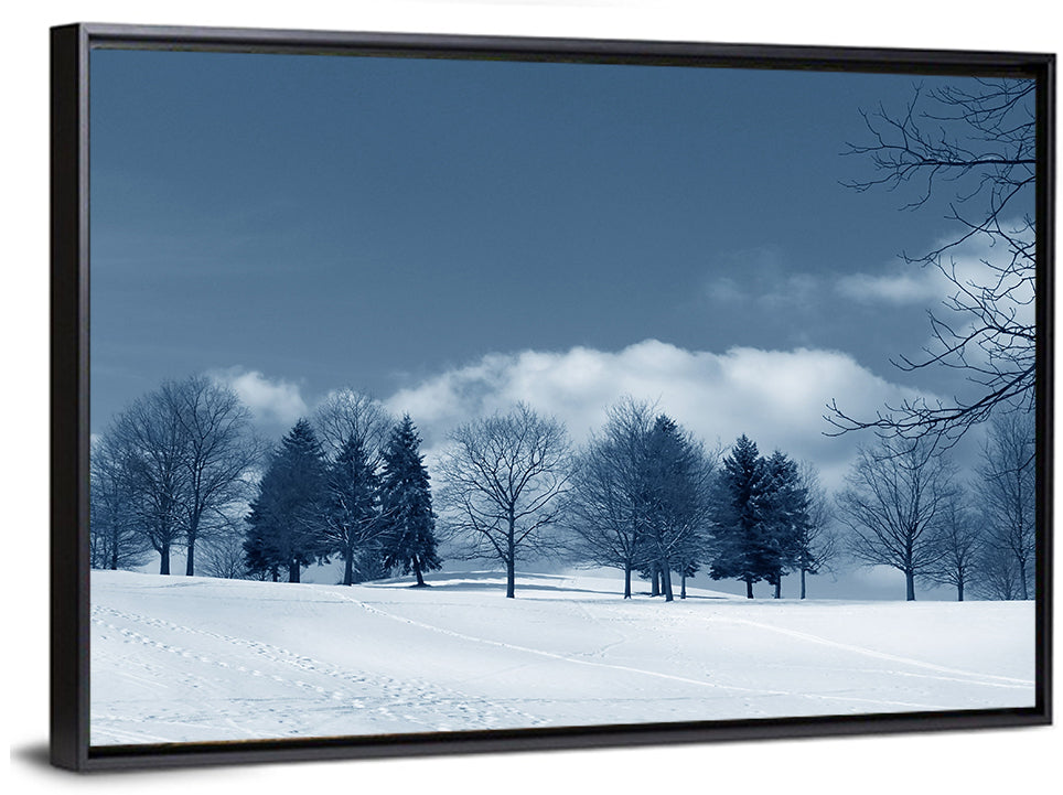 Snowy Field with Tracks Wall Art