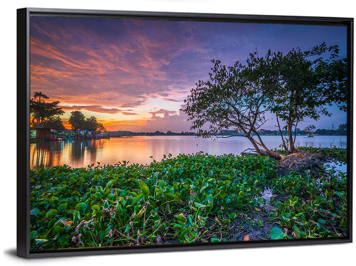 Cipondoh Lake Hyacinth Sunset Wall Art as a framed canvas