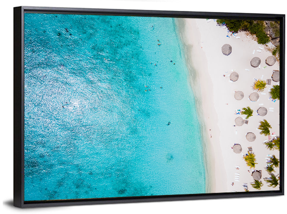 Cas Abou Aerial Shoreline Wall Art