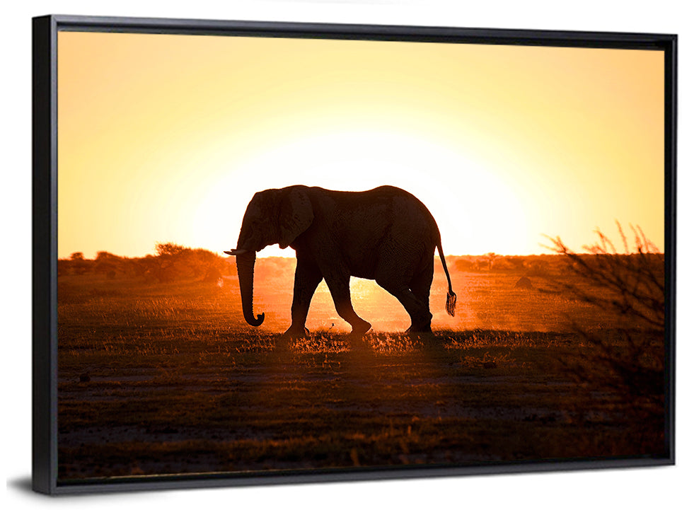 Golden Hour Elephant Silhouette Wall Art