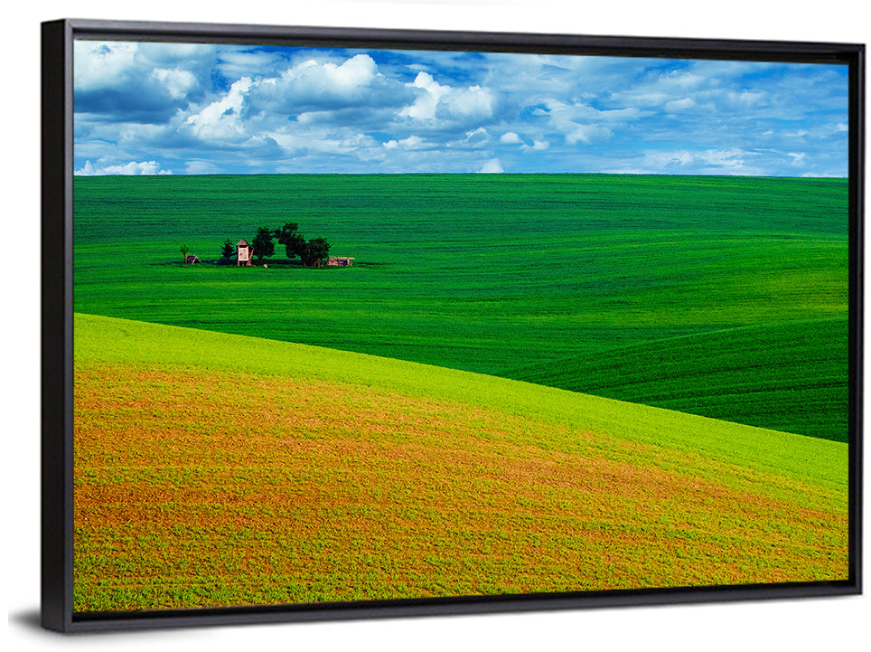 Golden Field and Green Hillside Wall Art