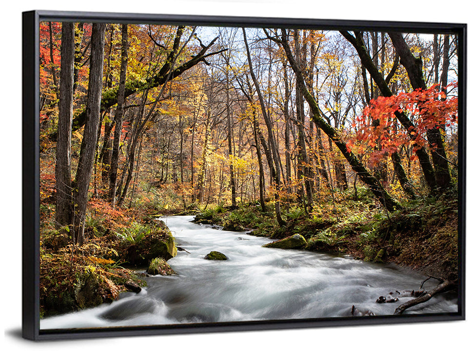 Sunlit Forest Stream Wall Art