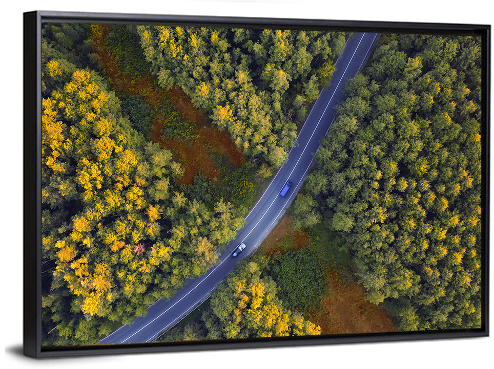Aerial Autumn Forest Road Wall Art