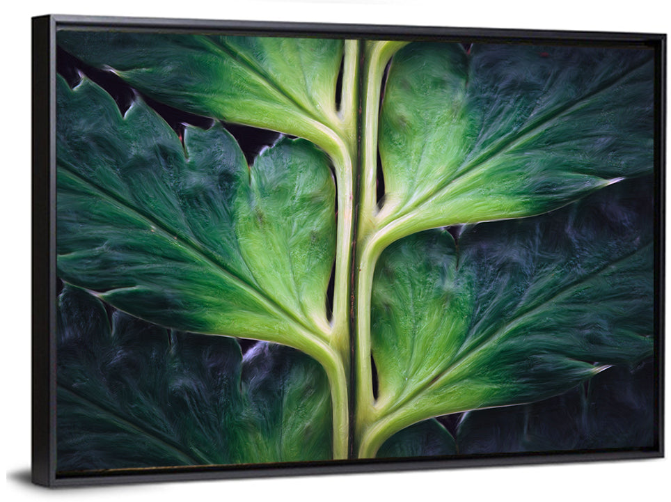 Fern Stem Macro Study Wall Art