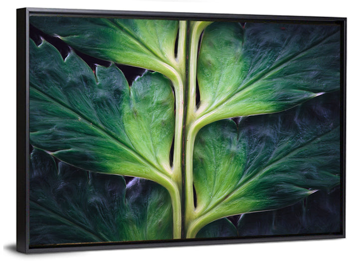 Fern Stem Macro Study Wall Art as a framed canvas