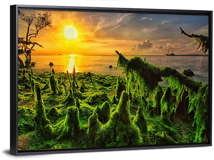 Mangrove Roots at Sunset Wall Art as a framed canvas