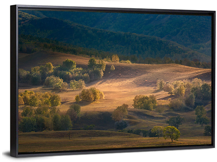 Bashang Plateau Golden Hour Wall Art as a framed canvas