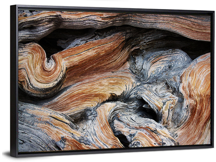 Juniper Wood Texture Wall Art as a framed canvas