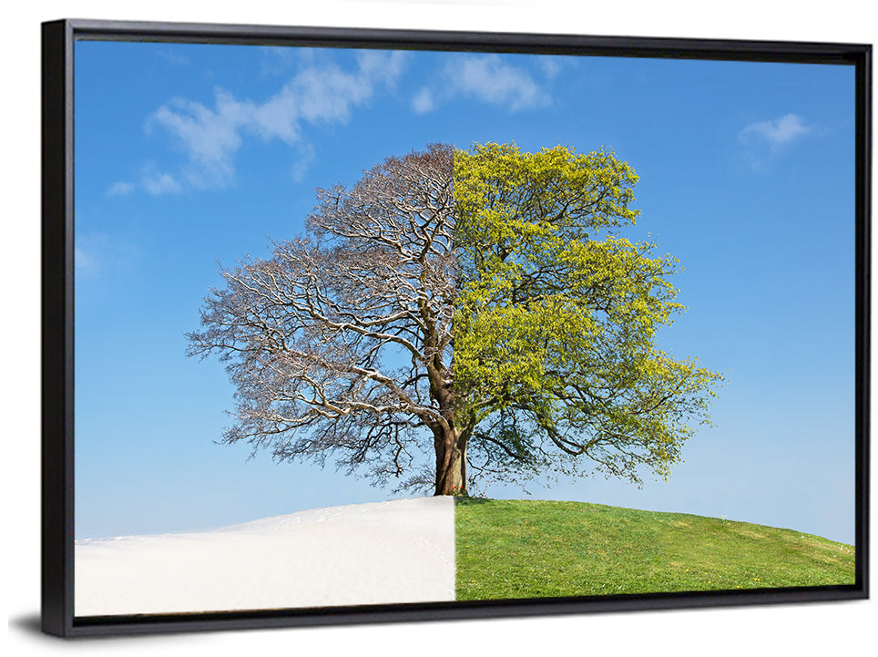 Split Season Tree Landscape Wall Art