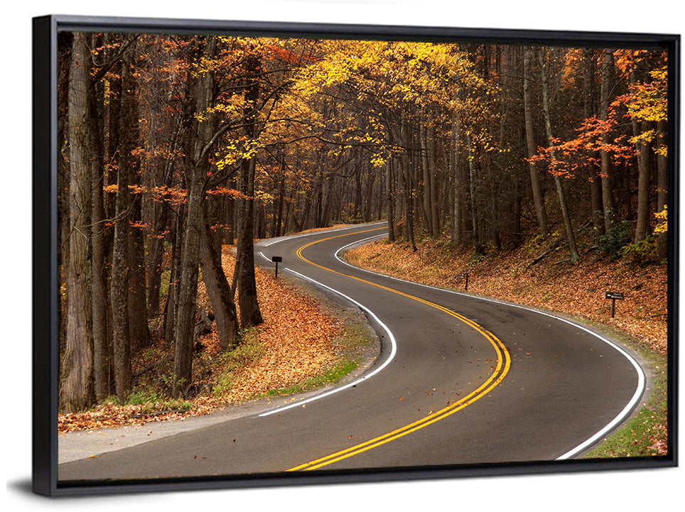 S-curve Road Through Autumn Forest Wall Art