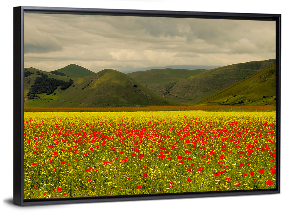 Castelluccio Wildflower Meadow Wall Art
