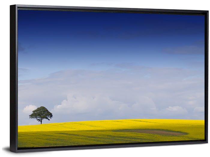 Solitary Tree Over Rapeseed Field Wall Art as a framed canvas
