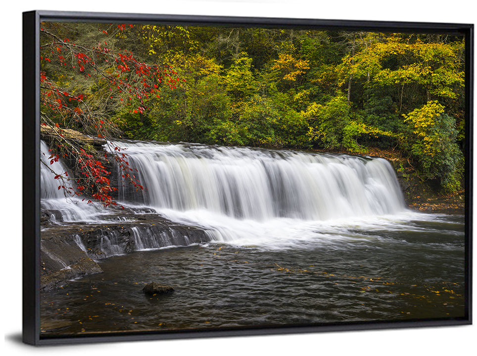 Dupont State Forest Autumn Waterfall Stream Wall Art