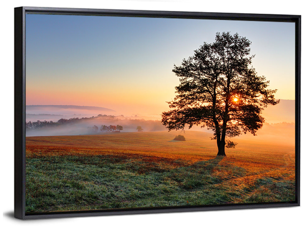 Misty Meadow Sunrise with Lone Tree Wall Art