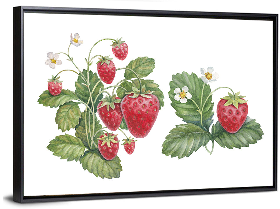 Fresh Strawberry Botanical Illustration Wall Art