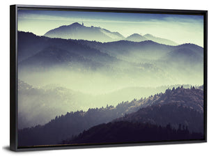 Foggy Forest Valley Wall Art