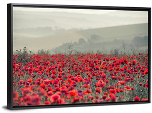 Red Poppy Field Wall Art