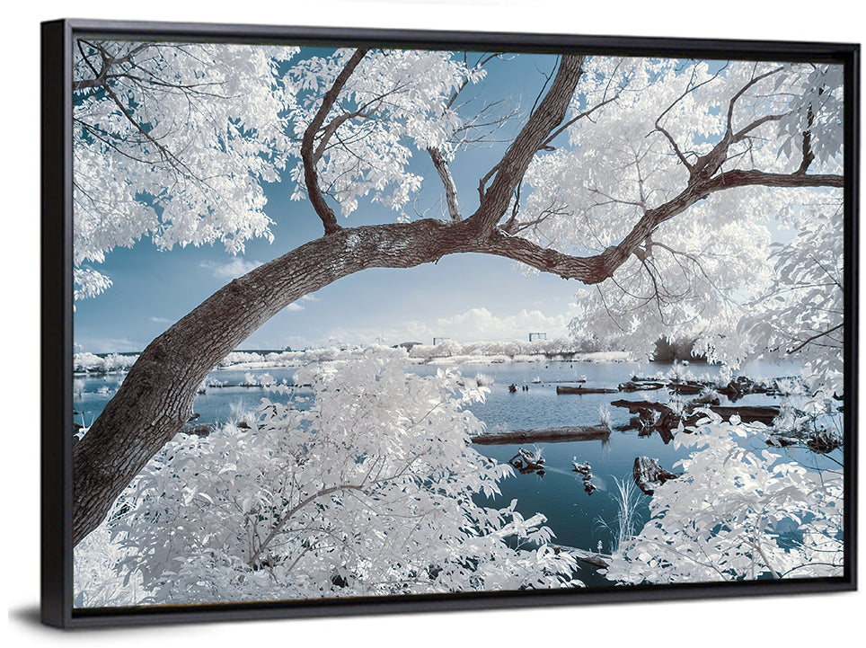Curving Winter Tree Over Lake Wall Art