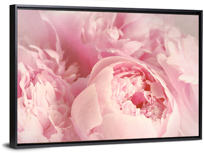 Soft Pink Peony Close Up Wall Art as a framed canvas