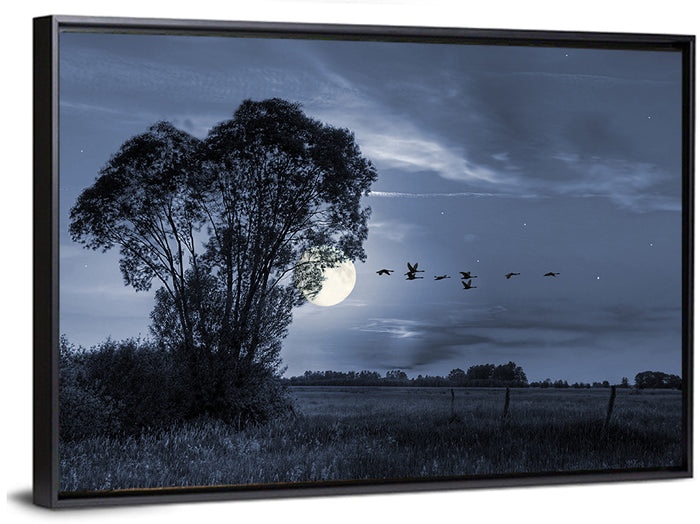 Moonlit Birds Over Quiet Field Wall Art as a framed canvas