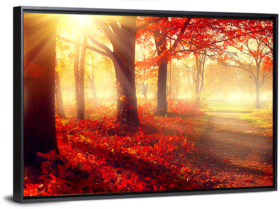 Sunlit Forest Path Wall Art