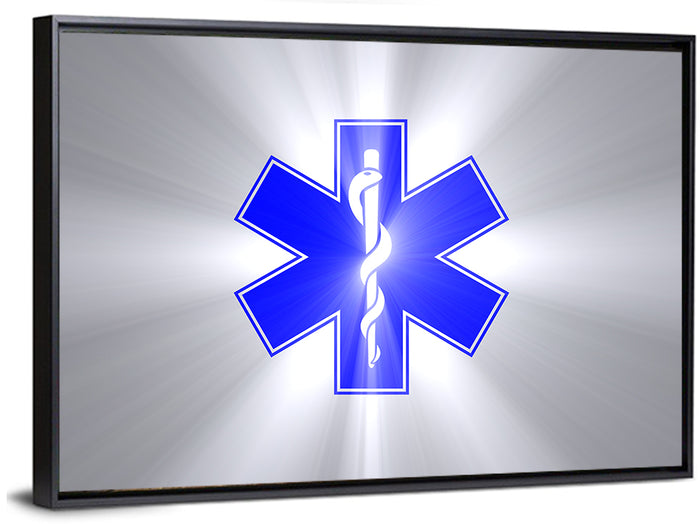 Star of Life with Rod of Asclepius Wall Art as a framed canvas