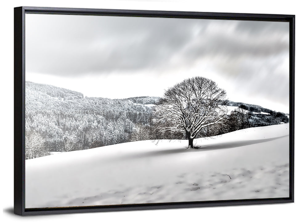 Lonely Snowy Tree Wall Art