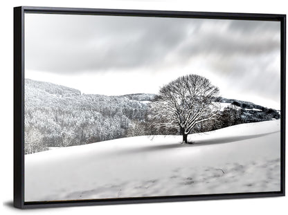 Lonely Snowy Tree Wall Art