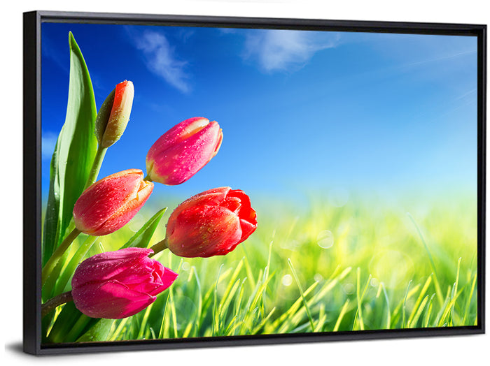 Dewy Red Tulips Under Blue Sky Wall Art as a framed canvas