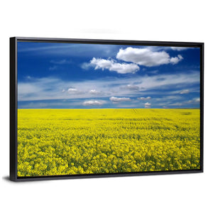 Canola Field Wall Art