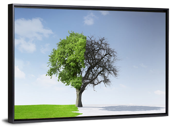 Split Seasons Tree Wall Art as a framed canvas