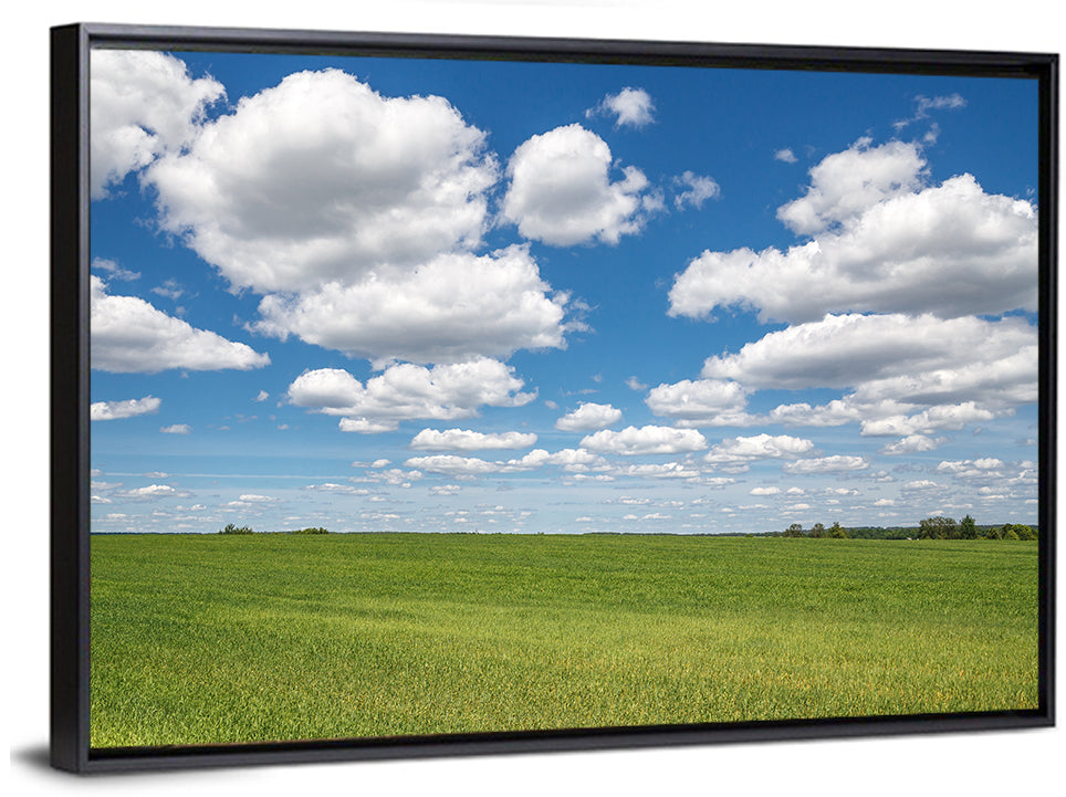 Cloud Filled Sky Over Meadow Wall Art