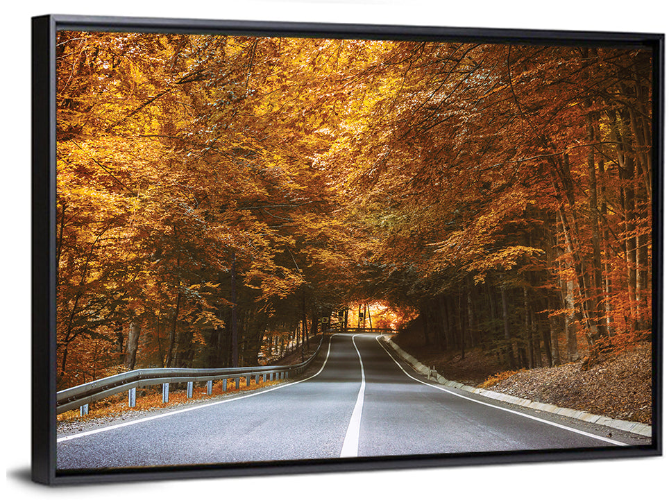 Autumn Forest Road with Canopy Wall Art