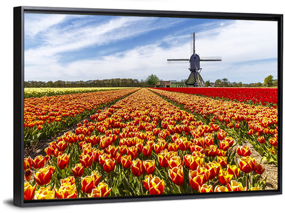 Windmill in Tulip Farm Field Wall Art