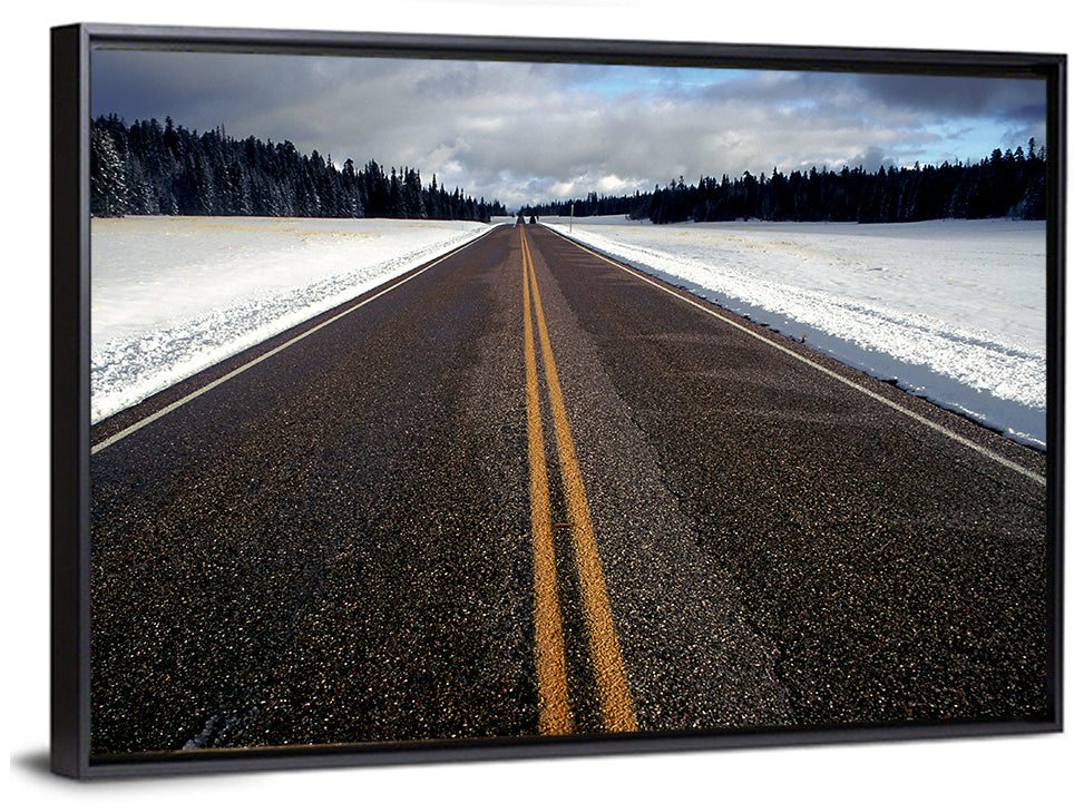 Winter Road Through Pine Forest Wall Art