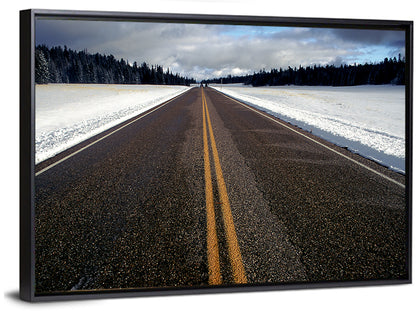Winter Road Wall Art