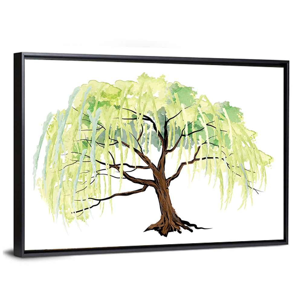 Weeping Willow Watercolor Sketch Wall Art
